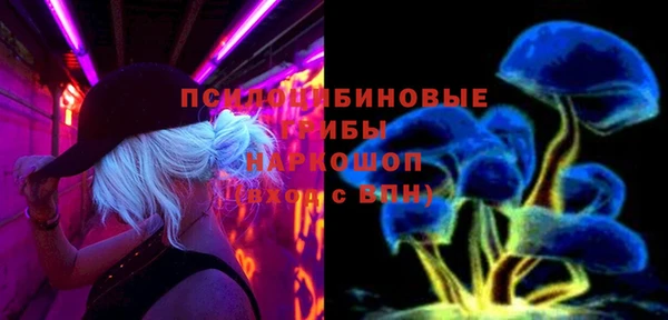 бошки Богородицк