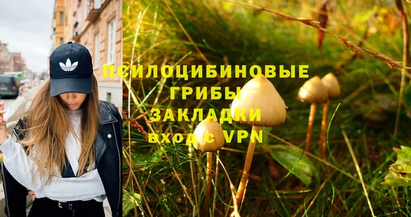 наркотики Богданович