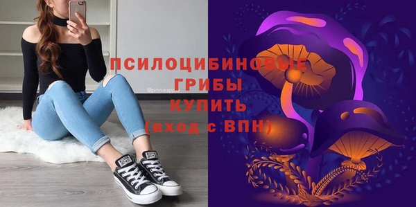 гидра Тында
