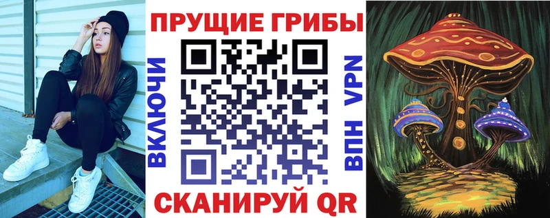 Псилоцибиновые грибы Magic Shrooms  нарко площадка как зайти  Котельниково 