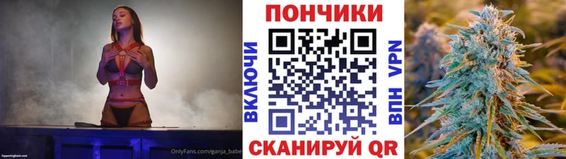 Каннабис OG Kush  где можно купить   Котельниково 